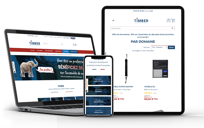 E-commerce Website Creation in Geneva